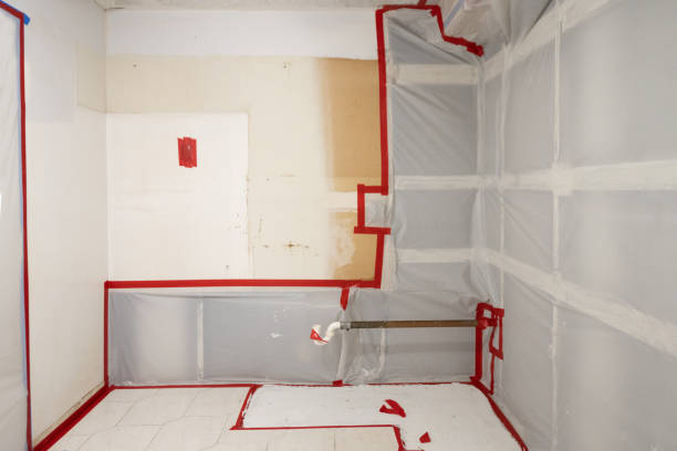 Best Water Damage & Mold Remediation  in Mauriceville, TX