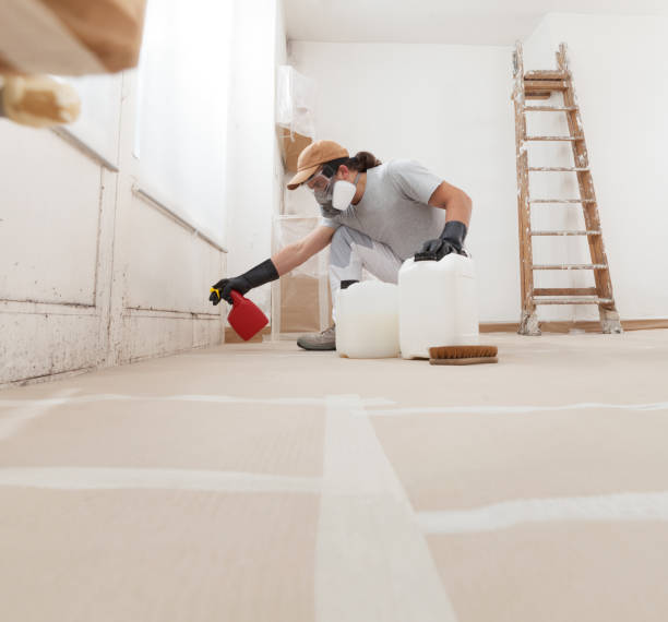 Best Crawl Space Mold Remediation  in Mauriceville, TX